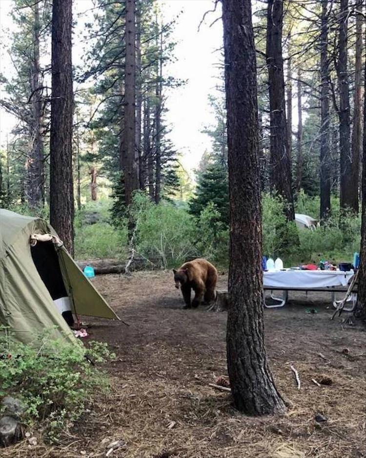 Memehilator_com_Nope_Nope_Nope_Not_Happening_for_Me19